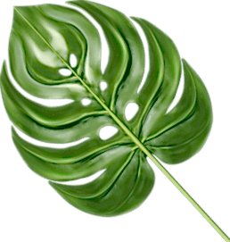 leaf 1 8